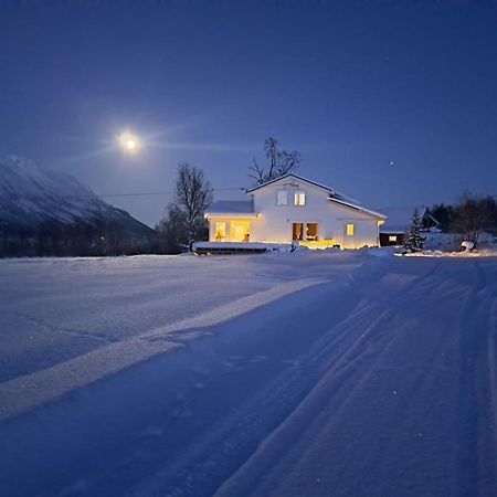 Mountainside Lodge - Breivikeidet ترومسو المظهر الخارجي الصورة