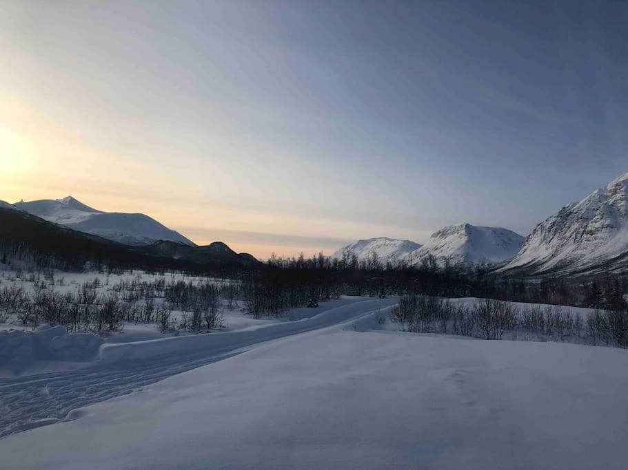 Mountainside Lodge - Breivikeidet ترومسو المظهر الخارجي الصورة