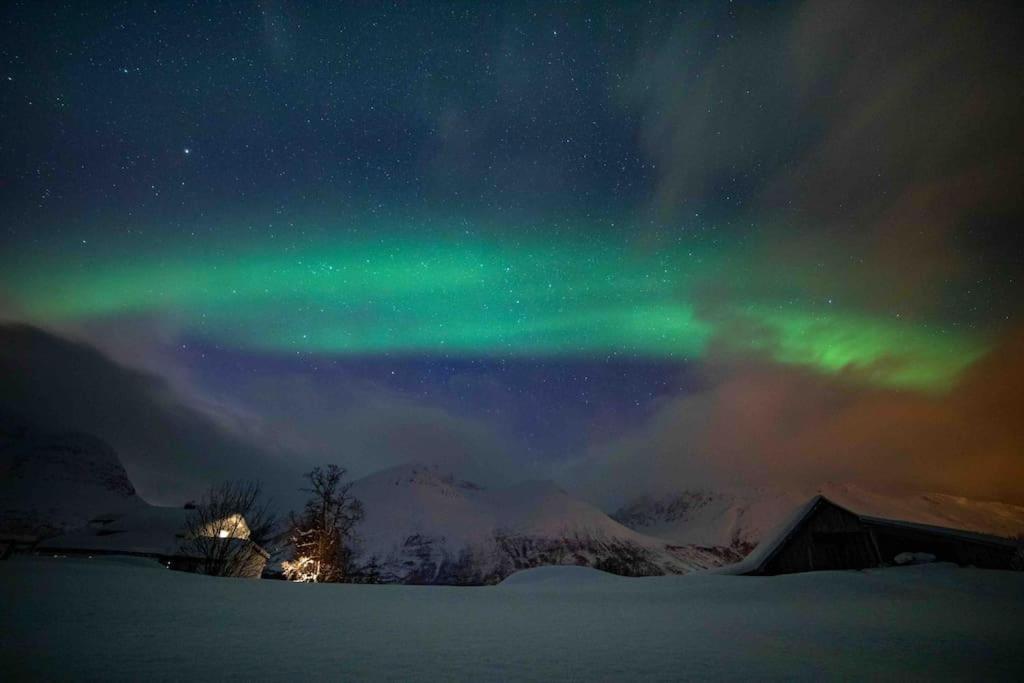 Mountainside Lodge - Breivikeidet ترومسو المظهر الخارجي الصورة