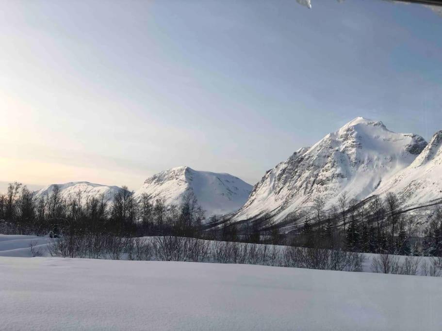 Mountainside Lodge - Breivikeidet ترومسو المظهر الخارجي الصورة
