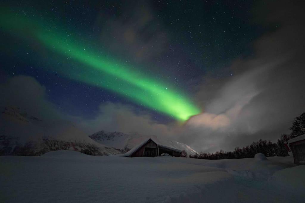 Mountainside Lodge - Breivikeidet ترومسو المظهر الخارجي الصورة