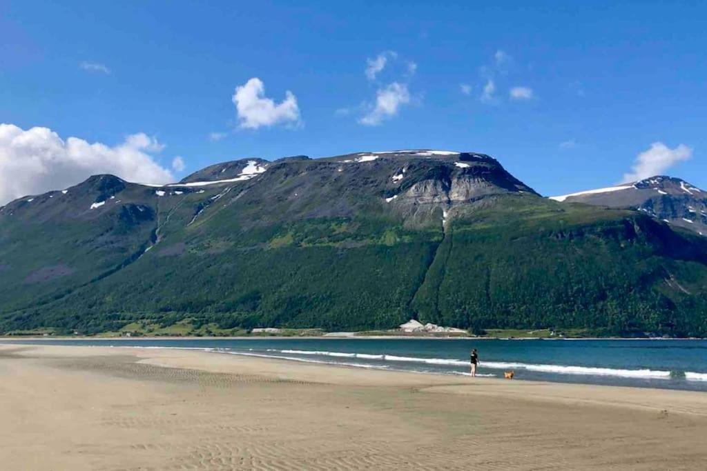 Mountainside Lodge - Breivikeidet ترومسو المظهر الخارجي الصورة