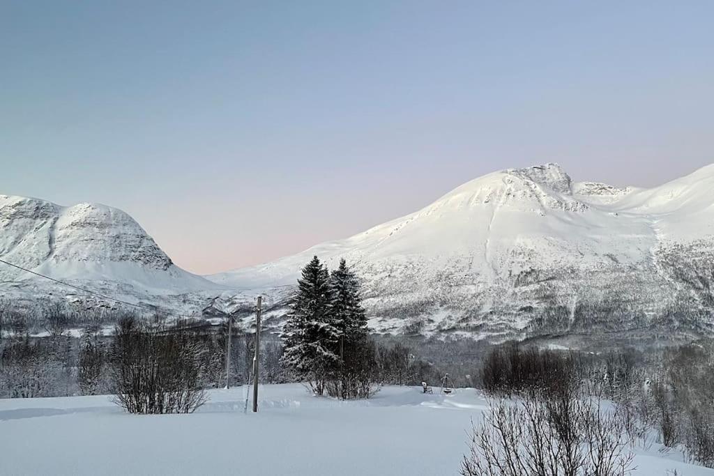 Mountainside Lodge - Breivikeidet ترومسو المظهر الخارجي الصورة