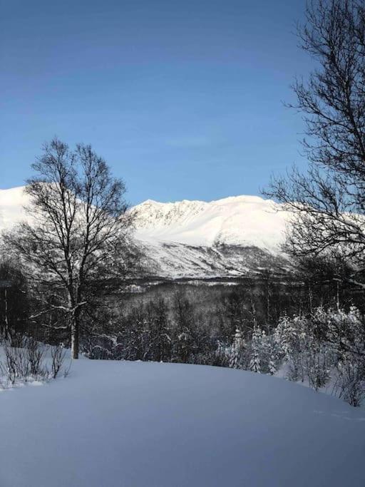 Mountainside Lodge - Breivikeidet ترومسو المظهر الخارجي الصورة