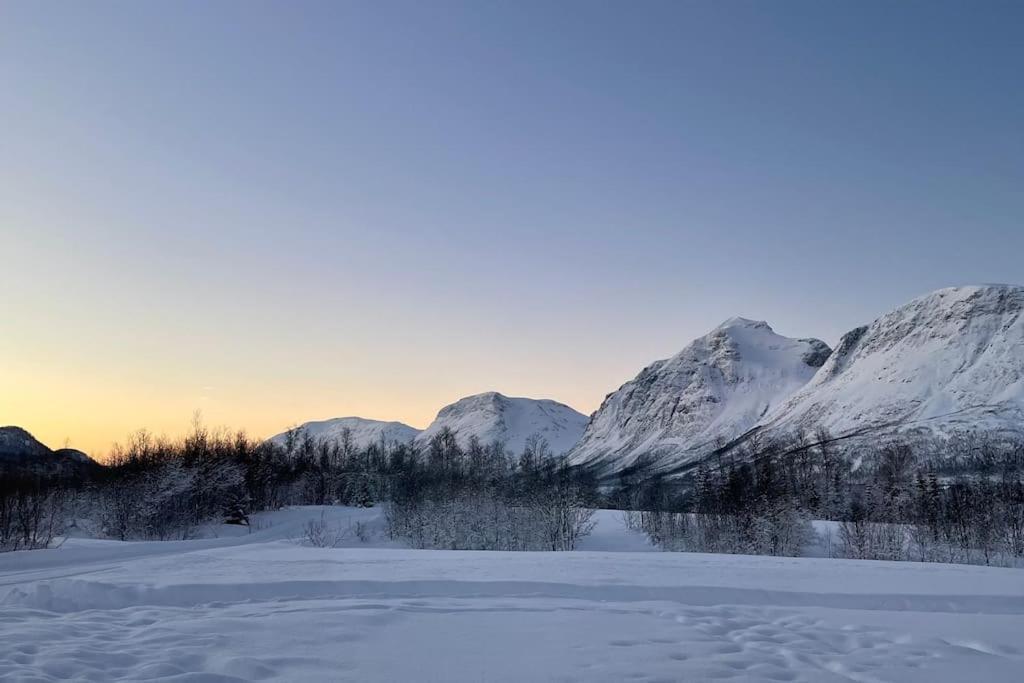 Mountainside Lodge - Breivikeidet ترومسو المظهر الخارجي الصورة