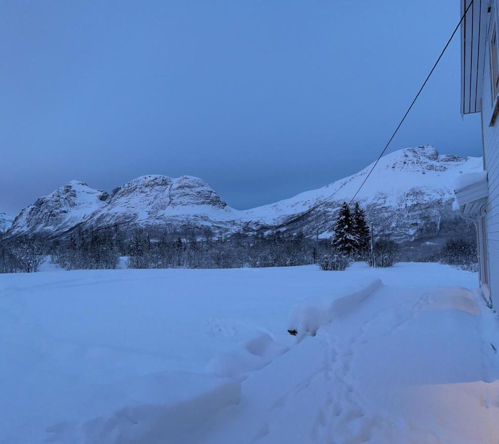 Mountainside Lodge - Breivikeidet ترومسو المظهر الخارجي الصورة