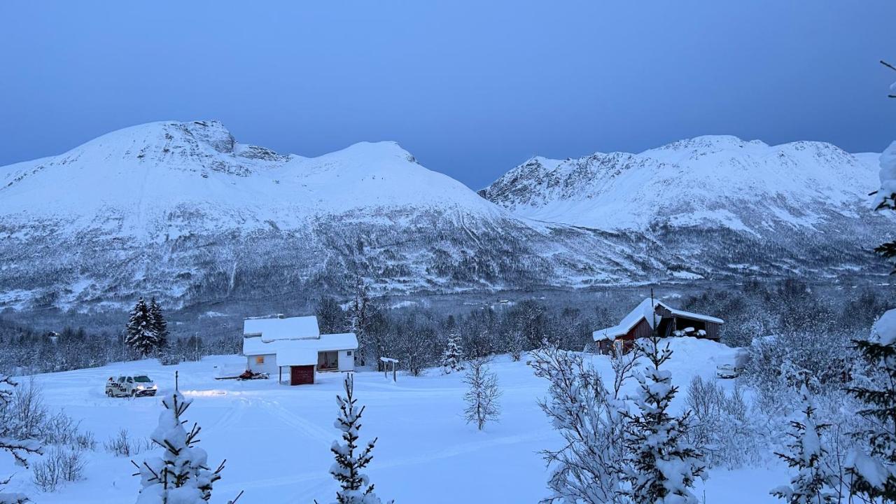 Mountainside Lodge - Breivikeidet ترومسو المظهر الخارجي الصورة