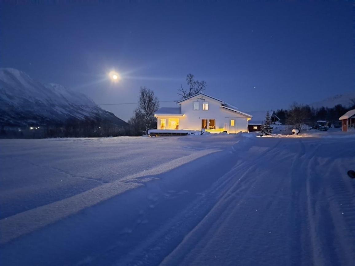 Mountainside Lodge - Breivikeidet ترومسو المظهر الخارجي الصورة