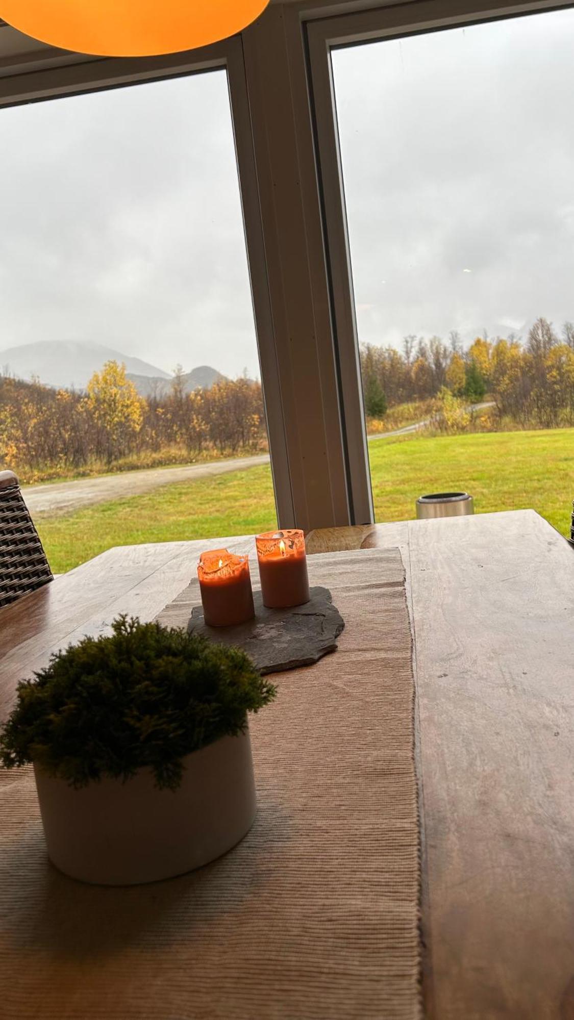 Mountainside Lodge - Breivikeidet ترومسو المظهر الخارجي الصورة